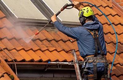 Démoussage et hydrofuge de toiture au Luhier